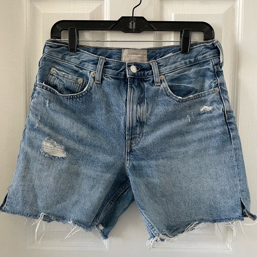 Everlane The Denim Short